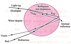 image 45